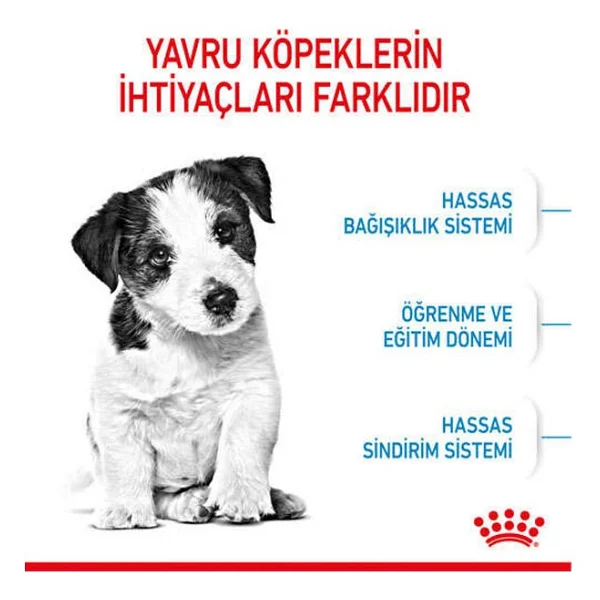 Royal Canin Mini Puppy Küçük Irk 4 Kg Yavru Köpek Maması - Görsel 4