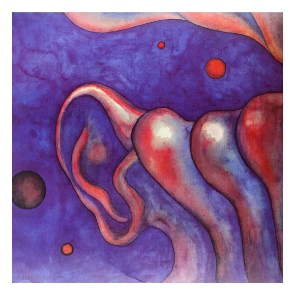 King Crimson - In The Court Of The Crimson King Plak - Görsel 2