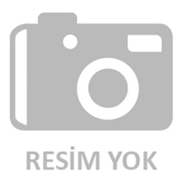 Hikvision DS-2DE4215IW-De 2MP 15x Zoom 7MM-75MM 100 MT IP66 İp Speed Dome Kamera - Görsel 2