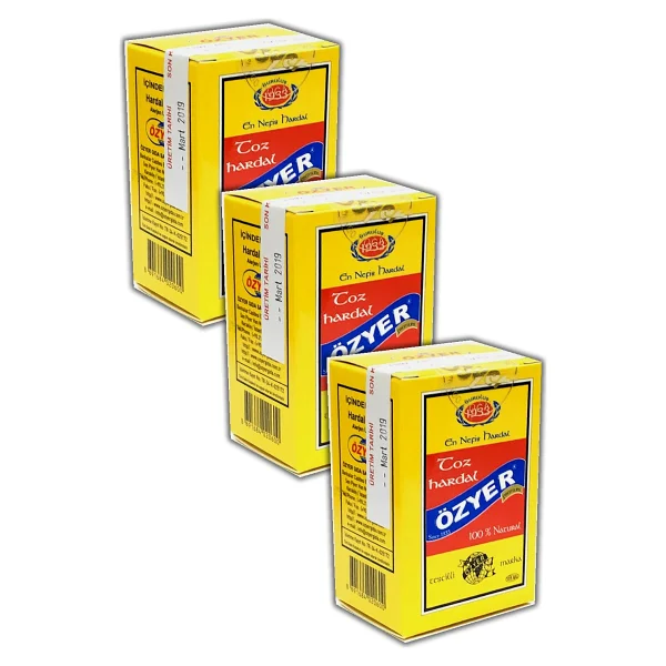 Özyer 60 Gr 3'lü Paket Toz Hardal - Görsel 2