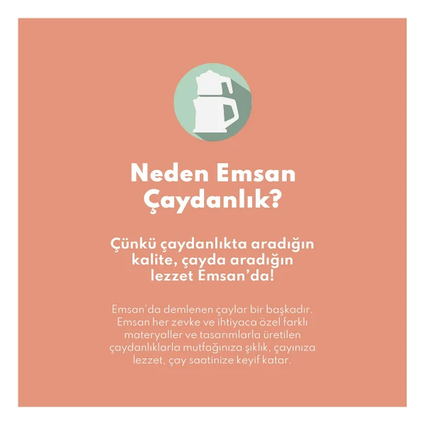 Emsan Cemre Bakalit Saplı Maxi Boy Çelik Çaydanlık - Görsel 5