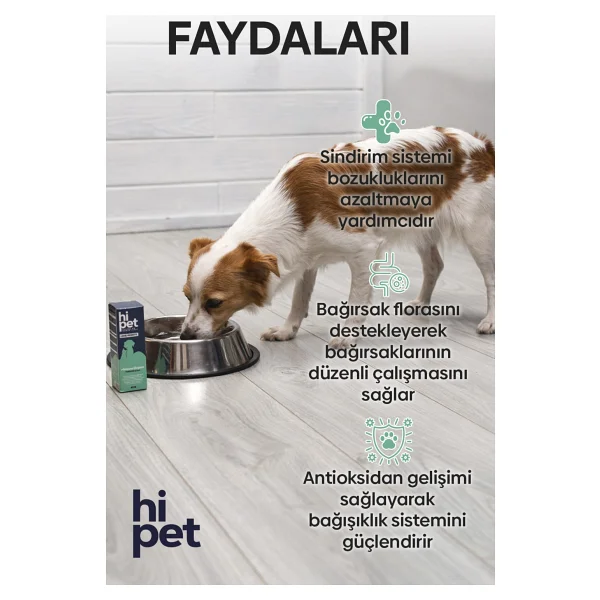 Hipet 50 Ml Köpek Bağışıklık Güçlendirici Sıvı Probiyotik - Görsel 2