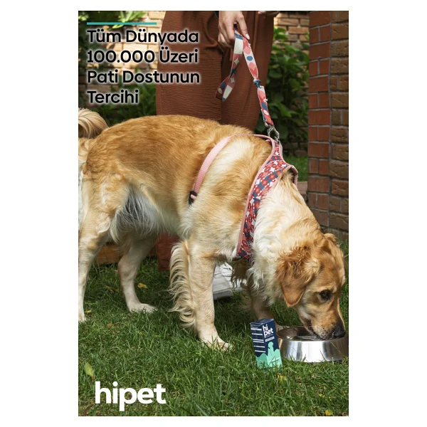 Hipet 50 Ml Köpek Bağışıklık Güçlendirici Sıvı Probiyotik - Görsel 4