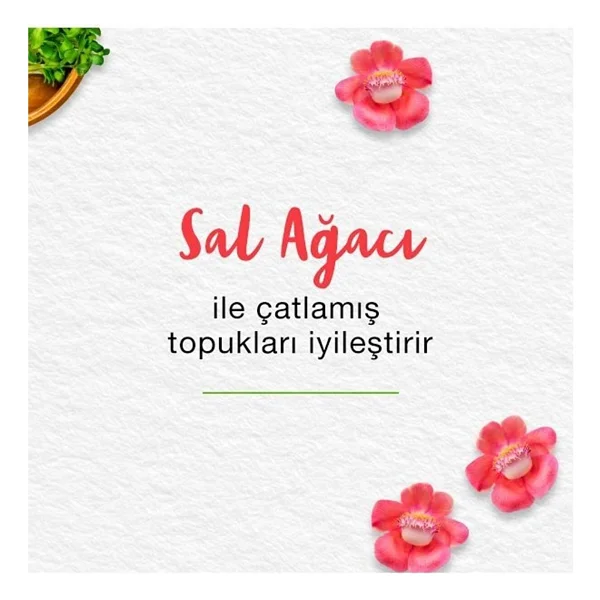 Himalaya Ayak Bakım Kremi 75 Ml - Görsel 5