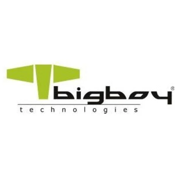 Bigboy BSSD2242N512G PCI-Express 3.0 512 GB M.2 SSD - Görsel 2