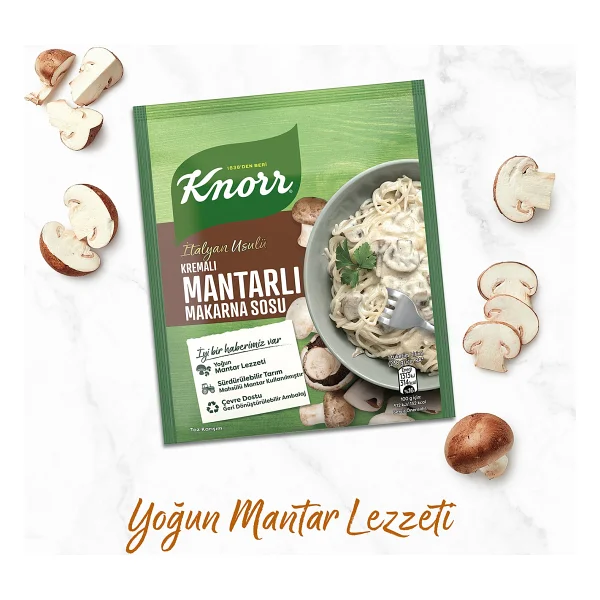 Knorr 52 Gr Kremalı Mantarlı Makarna Sosu - Görsel 4