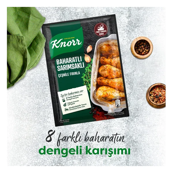Knorr Tavuk Çeşni Ailesi Baharatlı Sarımsaklı 34 G - 37 Gr - Görsel 4