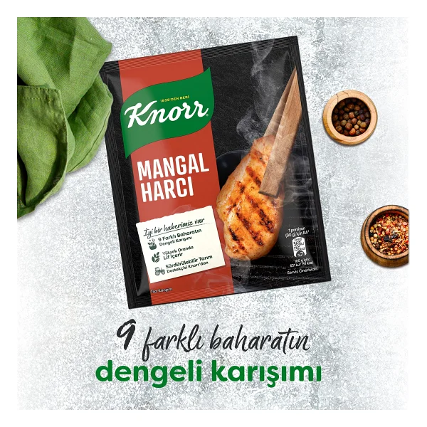 Knorr Mangal Harcı 37 Gr - Görsel 4