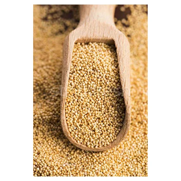 Organik Bitkim Sarı Haşhaş 100 Gr - Görsel 3