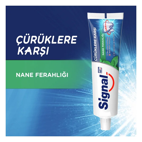 Signal Çürüklere Karşı Nane Ferahlığı 100 Ml Florürlü Diş Macunu - Görsel 5