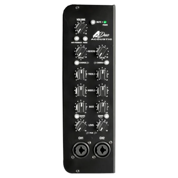 Laney A-Duo 2x8 Akustik Gitar Amfisi - Görsel 4