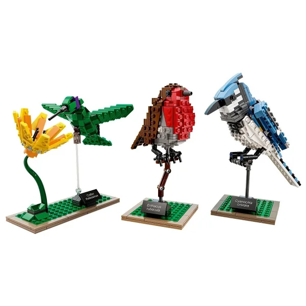 Lego 21301 Ideas Birds - Görsel 3