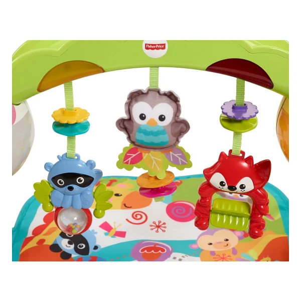 Fisher Price Oyun Dünyası Jimnastik Merkezi - Görsel 2