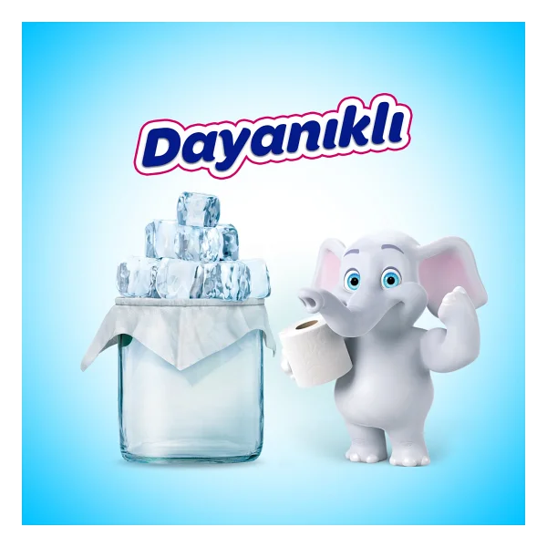 Selpak 24'lü Tuvalet Kağıdı - Görsel 4