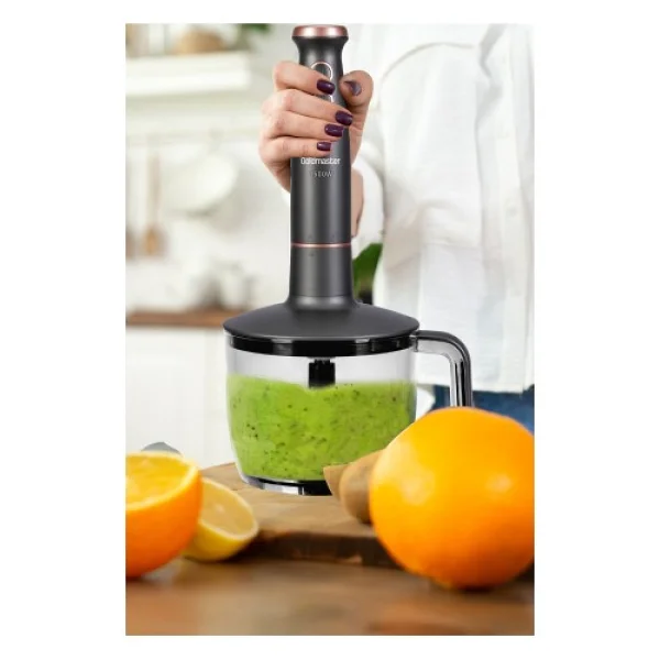 Goldmaster GM-7273AN Bestmax Antrasit 1500 W Blender Seti - Görsel 3