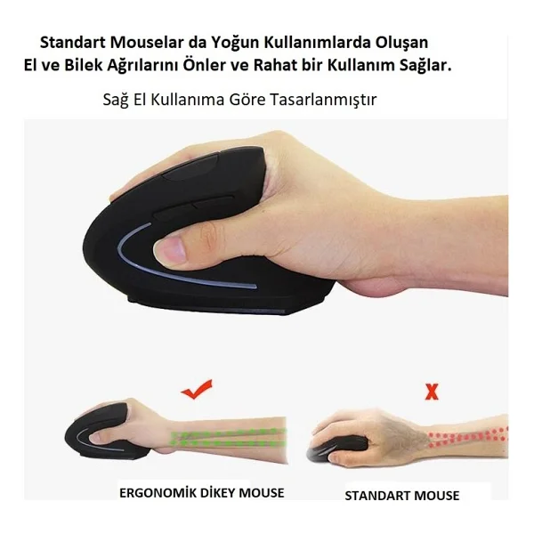 Triline Kablosuz Ergonomik Dikey Mouse - Görsel 3