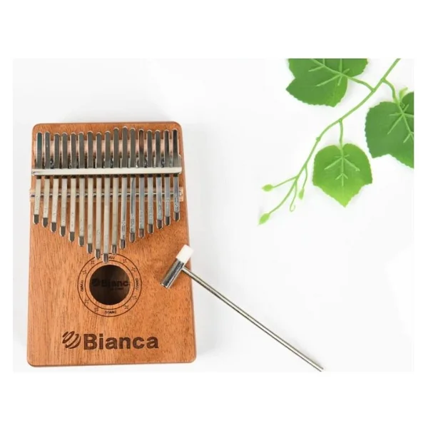 Bianca Bkl17 17 Tuşlu Kalimba - Görsel 5