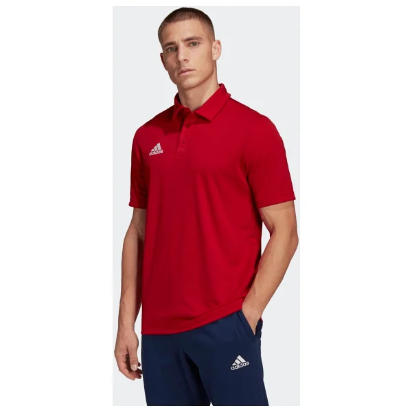Adidas Entrada 22 Kısa Kollu Polo Yaka Erkek Spor Tişört - Görsel 8