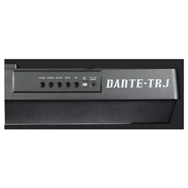 Medeli Dante Tr-J V2 Türk Ritimli Org - Görsel 3