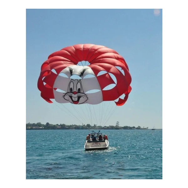 Pegasus 39 Ft Paraşüt - Görsel 2