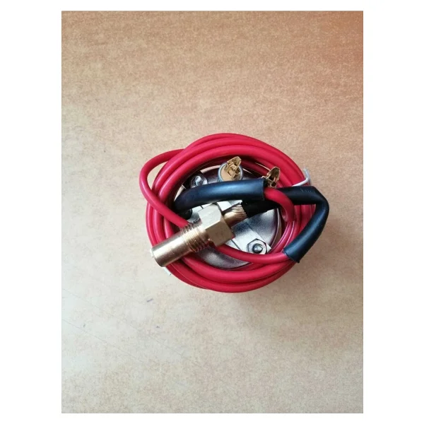 Sımga Ikazlı Hararet Saati 063mm 2m Civalı Th6301002 - Görsel 3