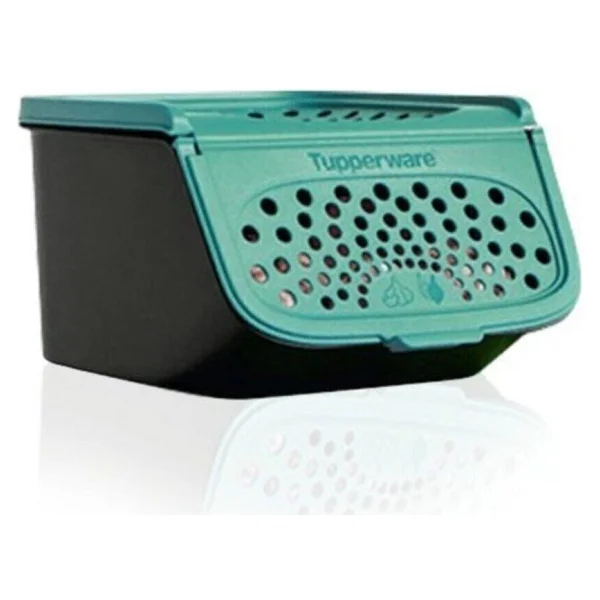 Tupperware Mini Sarımsak Kileri 2.3 Lt - Görsel 2