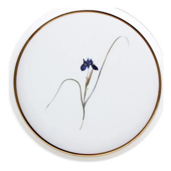 Porland Botanical 21 Cm Desen3 Düz Tabak 04alm005044 - Görsel 4