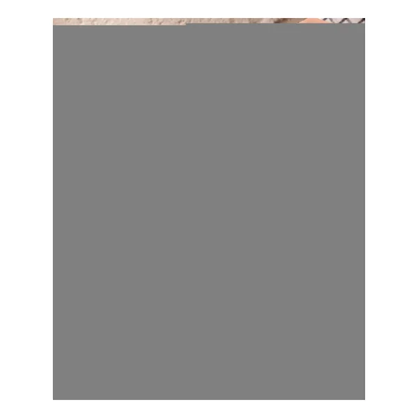 Perotti 13810 Silva Metal 8 Parça Baharat Takımı - Görsel 4