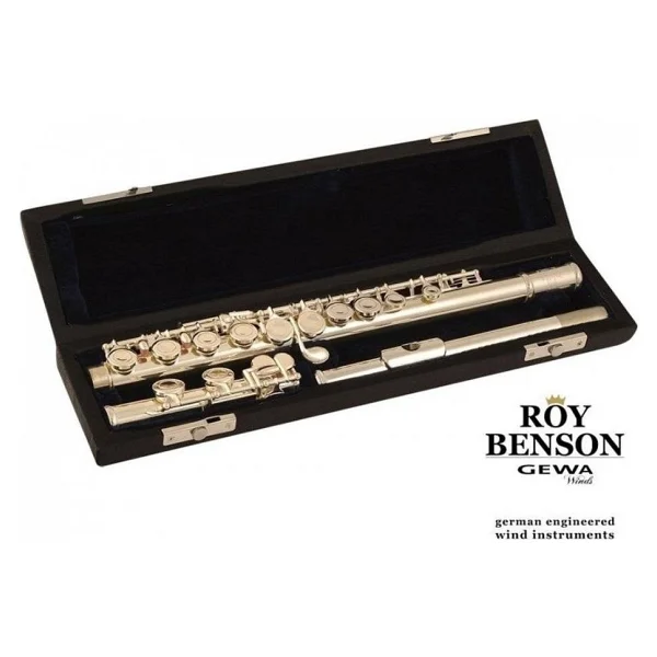 Roy Benson Fl-402e Yan Flüt - Görsel 2