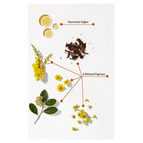 Phyto Color Kit Saç Boyası - Görsel 5