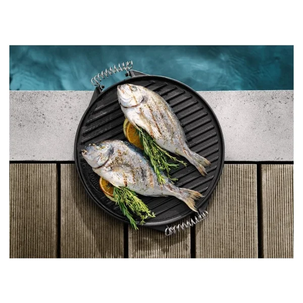 Aygaz Outdoor Gurme Döküm Mangal Izgarası - Görsel 4