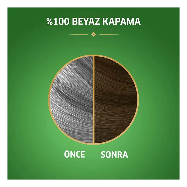 Koleston Naturals 6.1 Büyüleyici Kahve Saç Boyası - Görsel 5