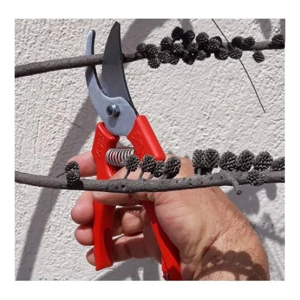 Depolife Bahçe Bağ Budama Makası Ağaç Dal Kesme Testeresi Ot Orak Tırpan Bileme Eğe Taşı Bahçe Seti 5 Parça Gri - Görsel 3