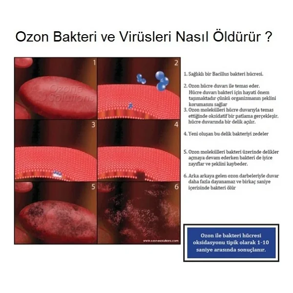 Dozon Otel Ve Depolar İçin 10g/H Taşınabilir Ozon Jeneratörü - Görsel 4
