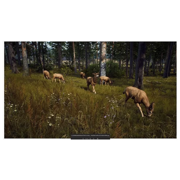 Way Of The Hunter PS5 Oyunu - Görsel 3