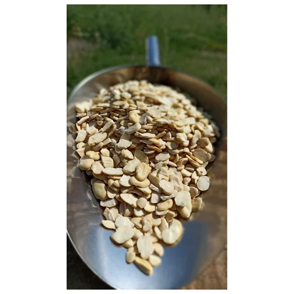 Şenler Soyulmuş Bakla Iç Bakla 1 Kg - Görsel 3