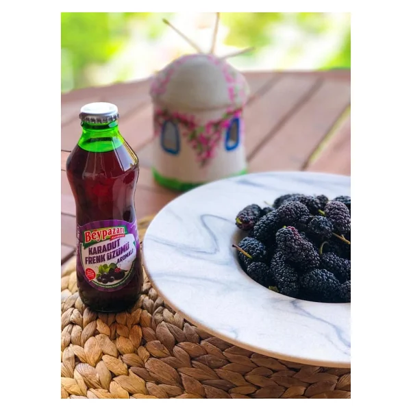 Beypazarı Karadut Frenk Üzümlü Maden Suyu 24x200 Ml - Görsel 7