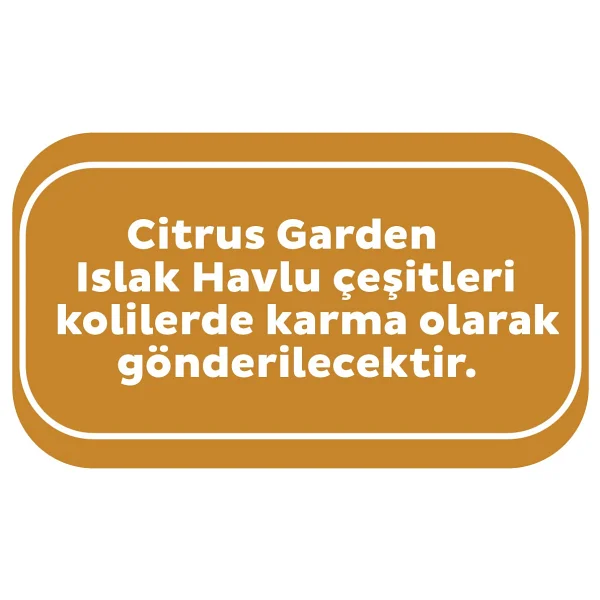 Sleepy Citrus Garden 90 Yaprak 12'li Paket Islak Bebek Havlusu - Görsel 3