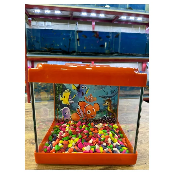Ertargın Shop Pembe Kare Mini Akvaryum 20x20x15 - Görsel 4