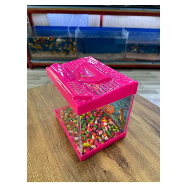 Ertargın Shop Pembe Kare Mini Akvaryum 20x20x15 - Görsel 2