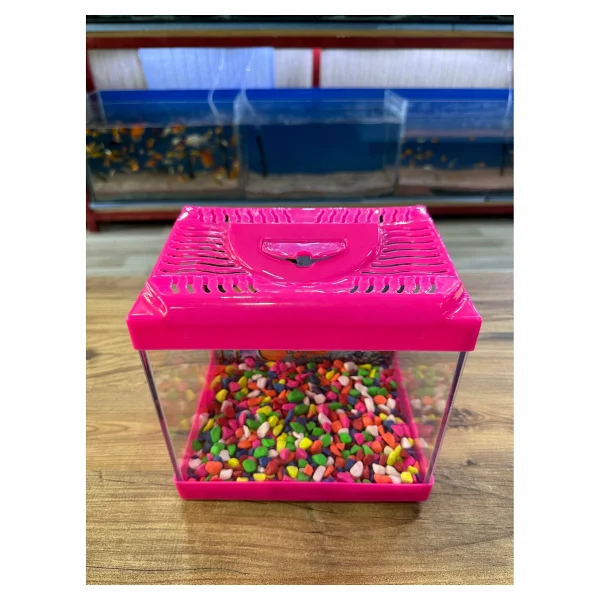 Ertargın Shop Pembe Kare Mini Akvaryum 20x20x15 - Görsel 3