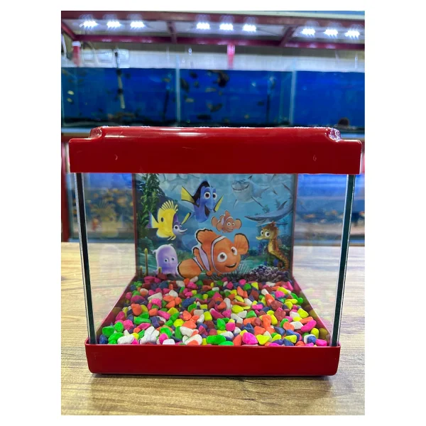 Ertargın Shop Pembe Kare Mini Akvaryum 20x20x15 - Görsel 5