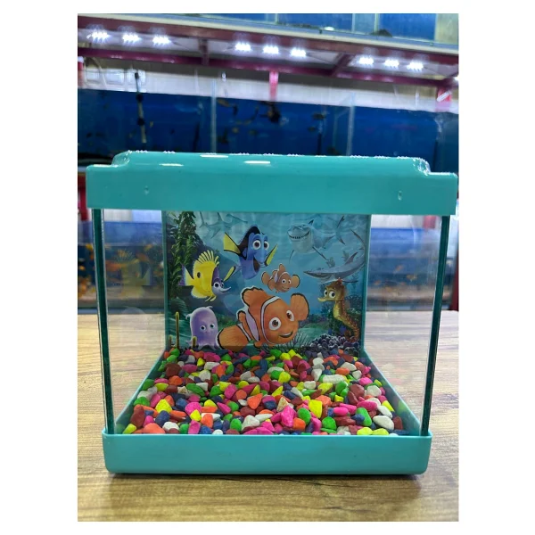Ertargın Shop Pembe Kare Mini Akvaryum 20x20x15 - Görsel 7