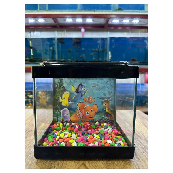 Ertargın Shop Pembe Kare Mini Akvaryum 20x20x15 - Görsel 6