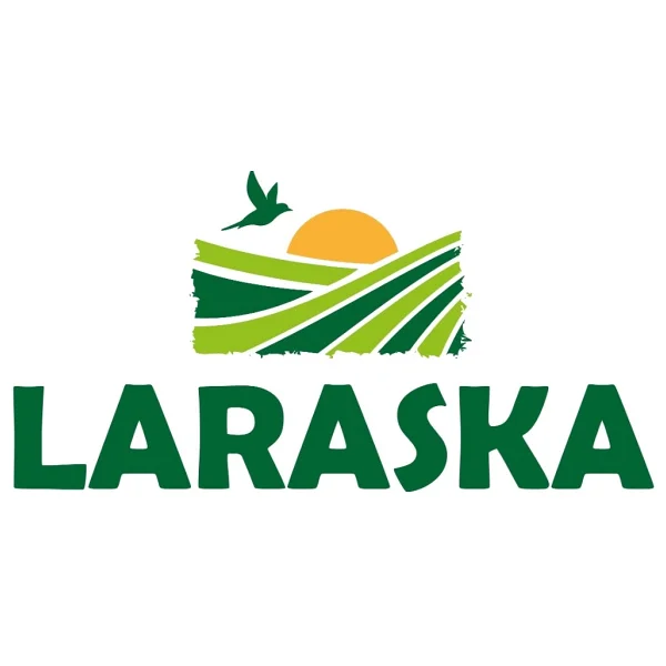 Laraska Organik Seylon Çubuk Tarçın 250 Gr - Görsel 9
