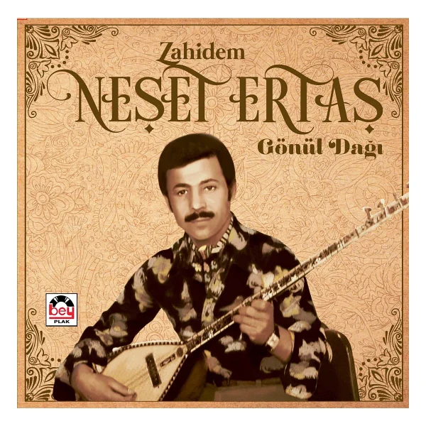 Record Master T317ub Siyah Çantalı Retro Pikap - Görsel 2