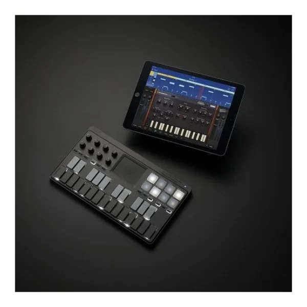 Korg Nanokey Studio Midi Controller - Görsel 7