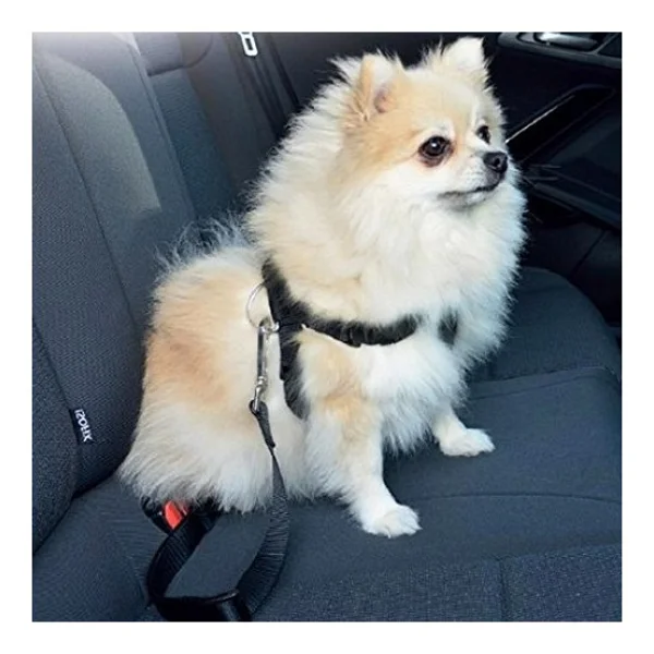 Pawise Köpek Emniyet Kemeri XL - Görsel 2