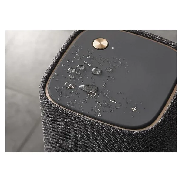 Yamaha WS-B1A Koyu Gri Bluetooth Hoparlör - Görsel 2
