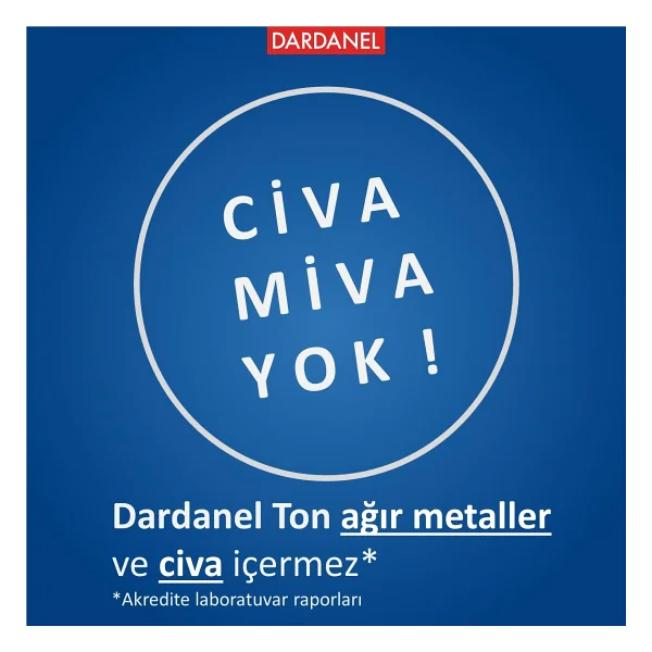 Dardanel Aç Ye 4 Tahıllı Ton 160 Gr 4'lü - Görsel 3